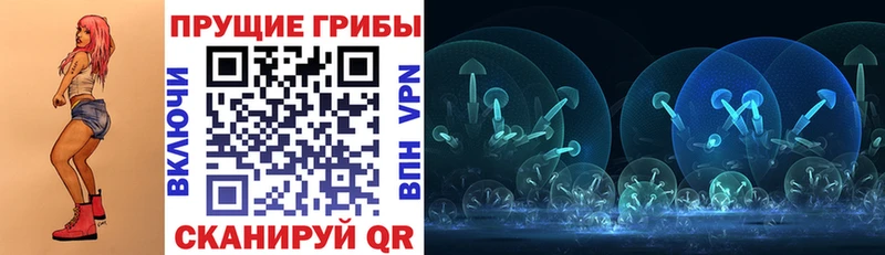 Псилоцибиновые грибы Cubensis  Купить закладки  Кохма 